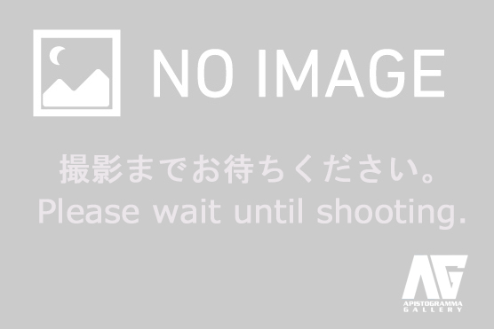 NO-IMAGE